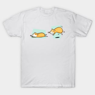 This Lil Piggy - Asleep - Awake T-Shirt